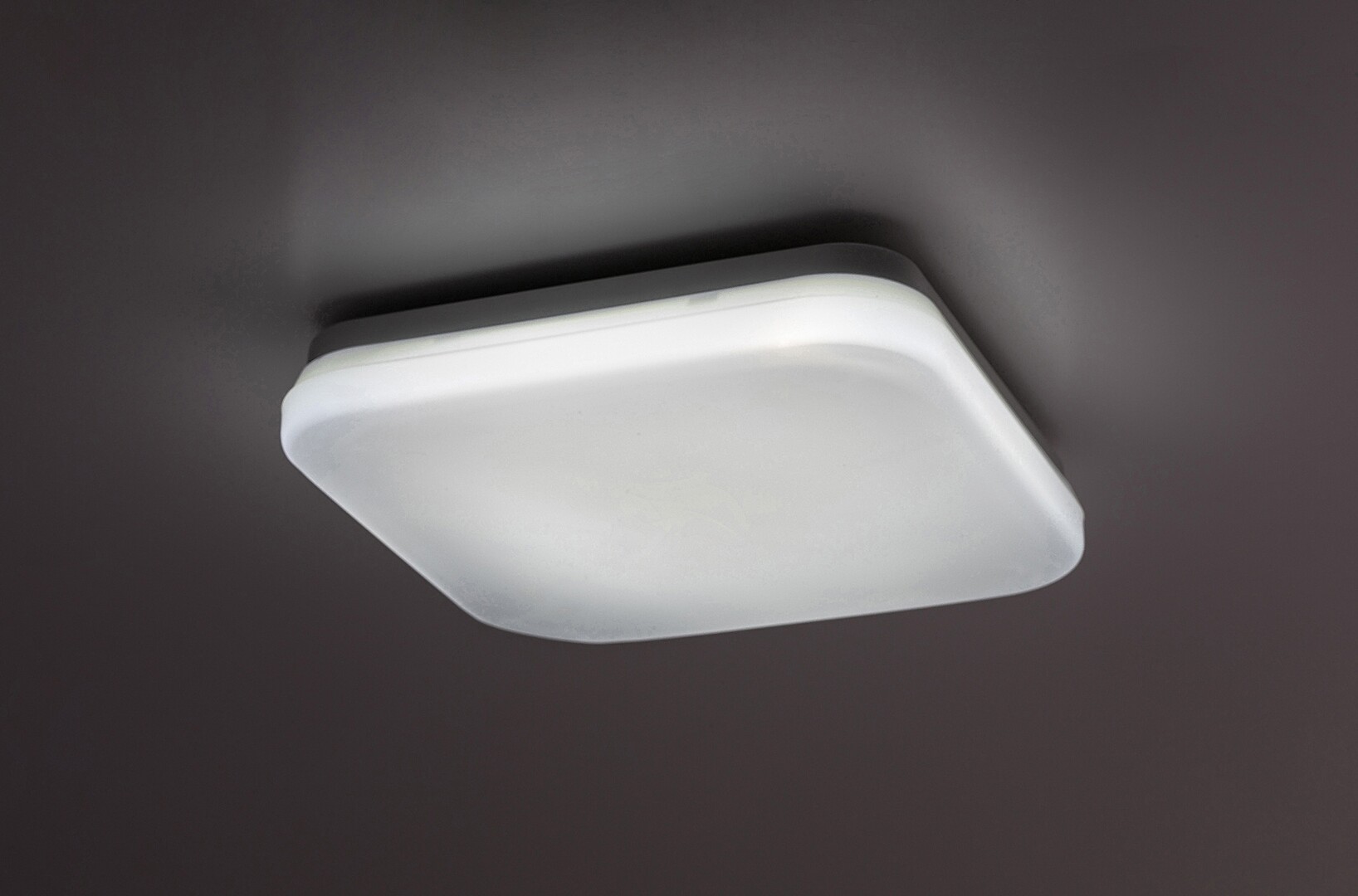 Plafoniera baie Rabalux Lowar LED 12W 750lm 3000, 4000, 6000 plastic white stil modern 230V, 50Hz IP44 77134 [2]