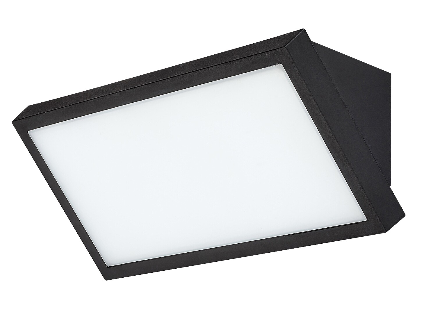 Aplica exterior Rabalux Rapla2 LED 18W 1700lm 2700K, 4000K, 6500K plastic black stil modern 230V, 50Hz IP65 77150 [2]