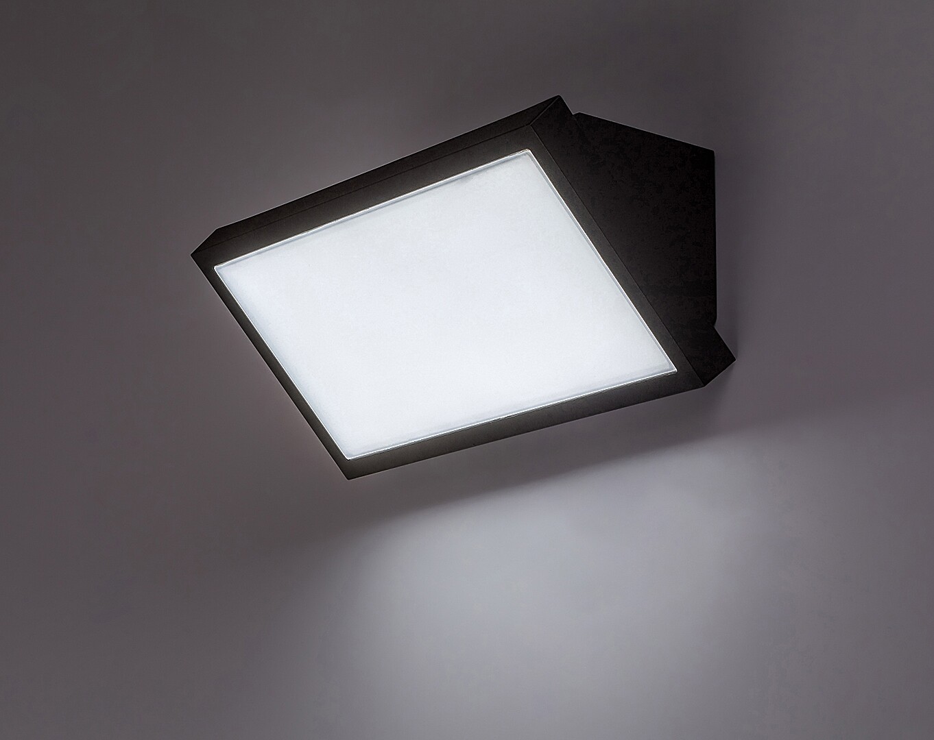 Aplica exterior Rabalux Rapla2 LED 18W 1700lm 2700K, 4000K, 6500K plastic black stil modern 230V, 50Hz IP65 77150 [3]