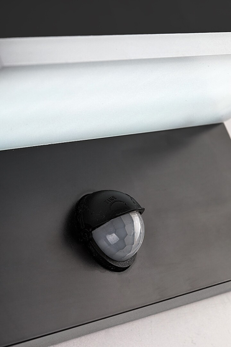 Aplica exterior cu senzor Rabalux Zaragoza LED 9W 800lm 2700KK, 4000KK, 6500KK plastic black stil modern, IP54 77115 [7]
