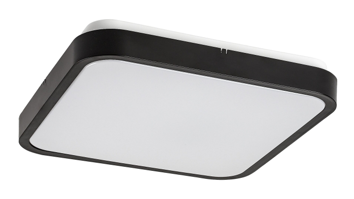 Plafoniera baie Rabalux Alenzo LED 24W 1450lm 3000, 4000, 6000 plastic black stil tehnic 230V, 50Hz IP44 71432 [2]