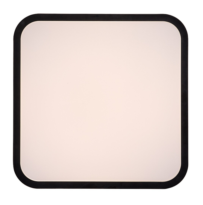 Plafoniera baie Rabalux Alenzo LED 24W 1450lm 3000, 4000, 6000 plastic black stil tehnic 230V, 50Hz IP44 71432 [6]