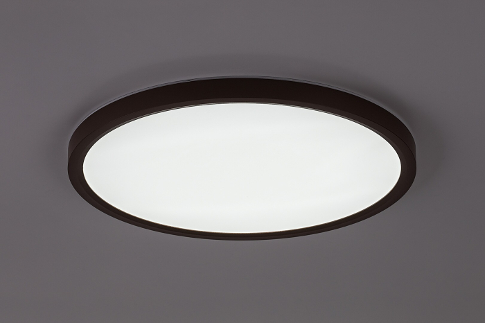 Plafoniera baie Rabalux Lautrec LED 24W 2030lm 3000K, 4000K, 6500K plastic brown stil functional, IP44 75083 [5]