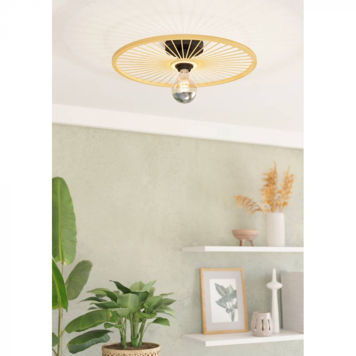 Plafonieră EGLO LEOMINSTER 43883, E27, 1X40W, Oțel, Negru IP20 [3]
