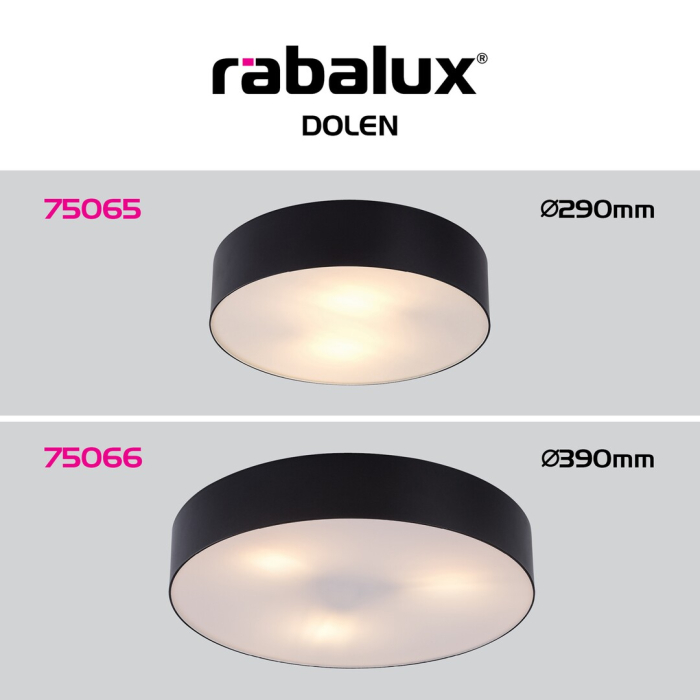 Plafoniera exterior Rabalux Dolen E27 metal black stil minimal, IP43 75065 [6]