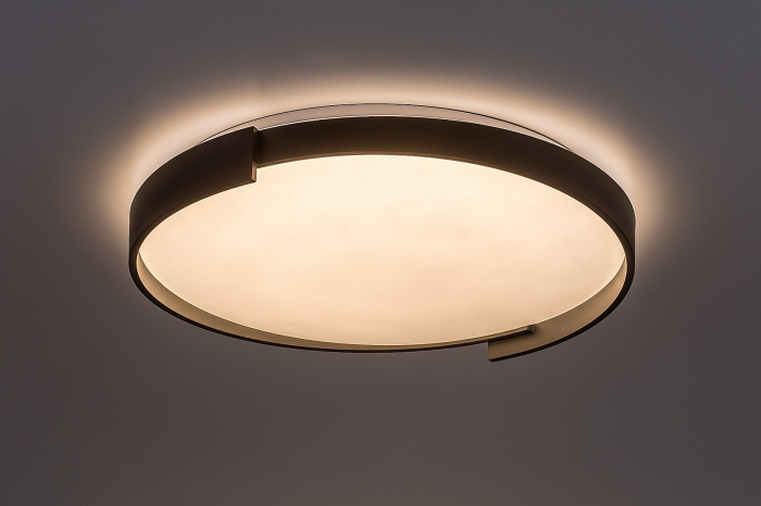 Plafoniera Rabalux Laleh LED 48W 3000lm 3000-6500 metal black stil modern 230V, 50Hz IP20 71306 [3]