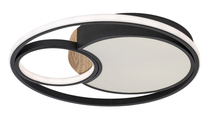 Plafoniera Rabalux Leola LED 81W 3800lm 3000, 4000, 6000 metal black stil modern 230V, 50Hz IP20 71044 [2]