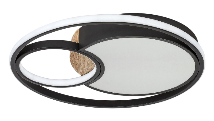 Plafoniera Rabalux Leola LED 81W 3800lm 3000, 4000, 6000 metal black stil modern 230V, 50Hz IP20 71044 [3]