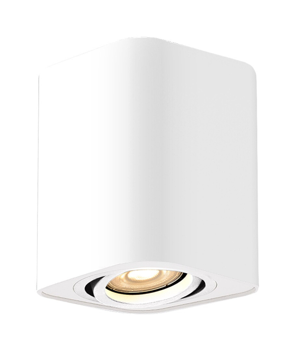 Spot aplicat reglabil Rabalux Kobald GU10 GU10 1x MAX 42W   aluminiu white stil minimal 230V, 50Hz IP20 2050 [2]