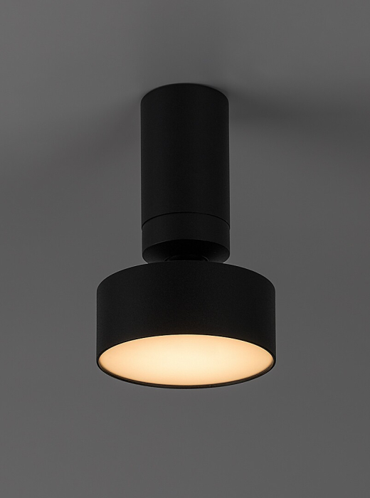 Spot aplicat reglabil Rabalux Ovidia LED 10W 640lm 3000 metal black stil tehnic 230V, 50Hz IP20 71321 [4]