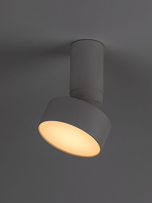 Spot aplicat reglabil Rabalux Ovidia LED 10W 640lm 3000 metal white stil tehnic 230V, 50Hz IP20 71326 [3]