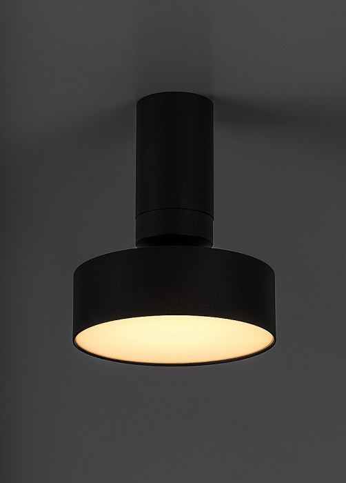Spot aplicat reglabil Rabalux Ovidia LED 16W 800lm 3000K metal black stil tehnic, IP20 71322 [4]