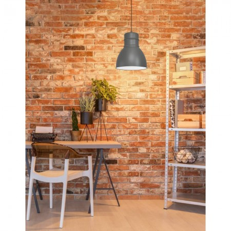 Suspensie Eglo Ebury, gri mat 1xE27, D.38 cm, 43622 [2]