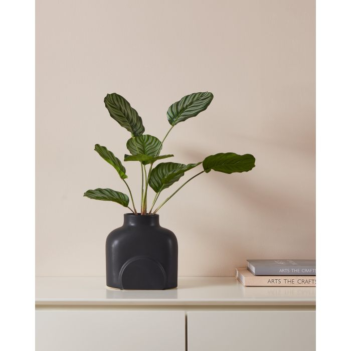 Vaza EGLO LYAGLAN 421407 Ceramic Black  181x121x180 mm  [5]