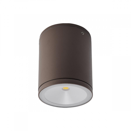 BLACK FRIDAY 2024 - 9064 Plafoniera REDO ETA LED 6W 540lm 4000K IP54 Aluminiu Turnat Dark Brown Optics 120° CRI 82