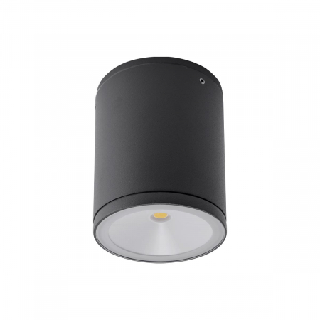 BLACK FRIDAY 2024 - 9598 Plafoniera REDO ETA LED 6W 530lm 3000K IP54 Aluminiu Turnat Dark Gray Optics 120° CRI 82