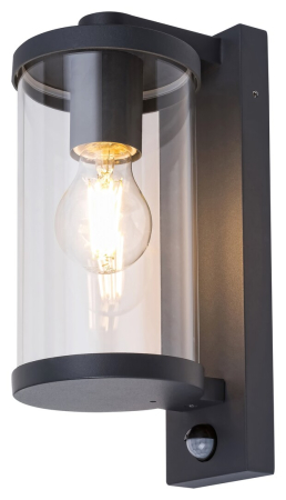 Aplica exterior cu senzor Rabalux Silistra E27 aluminiu anthracite stil industrial, IP44 7892 [1]