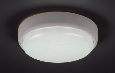 Aplica exterior Rabalux Hort LED 15W 1300lm 4000KK plastic white stil modern, IP54 7406 [2]