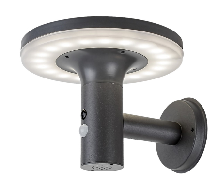 Aplice - Aplica exterior solara Rabalux Alaska LED 10W 250lm 4000KK otel inoxidabil anthracite stil modern DC 3.7V IP44 77017