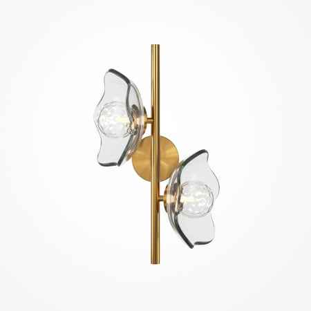 Moderne - Aplica Maytoni Miracle MOD207WL-02BS G9 2x28W -  Metal/Glass Brass IP20