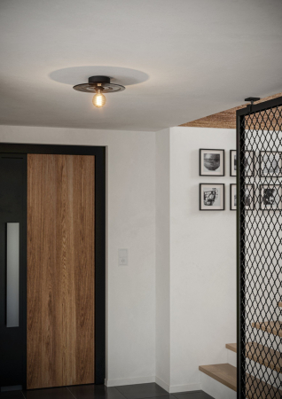 Aplica/Plafoniera EGLO Lintmill 44028 E27 1X40W 220-240V,50/60Hz H 75mm x Ø300mm otel negru sticla gri IP20 [4]