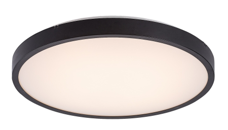 Plafoniere - Plafoniera baie Rabalux Alenzo LED 24W 1500lm 3000K-6000 plastic black stil tehnic, IP44 71438