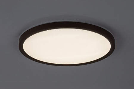 Plafoniera baie Rabalux Lautrec LED 24W 2030lm 3000K, 4000K, 6500K plastic brown stil functional, IP44 75083 [3]