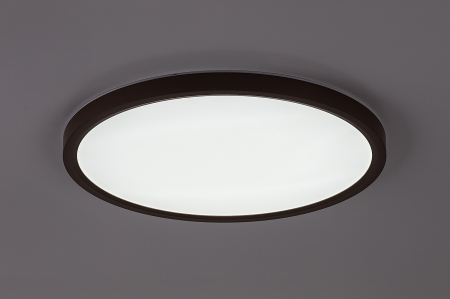Plafoniera baie Rabalux Lautrec LED 24W 2030lm 3000K, 4000K, 6500K plastic brown stil functional, IP44 75083 [4]