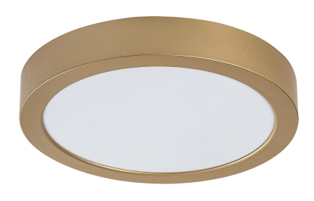 Plafoniera baie Rabalux Shaun Plus LED 24W 2600lm 4000K plastic gold stil functional, IP44 75078 [1]