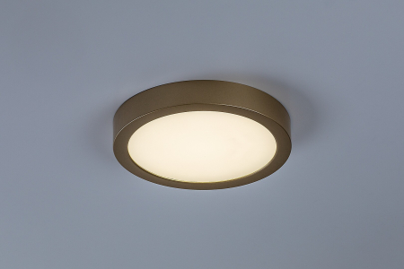 Plafoniera baie Rabalux Shaun Plus LED 24W 2600lm 4000K plastic gold stil functional, IP44 75078 [2]