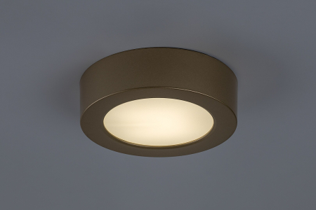 Plafoniera baie Rabalux Shaun Plus LED 7W 660lm 4000K plastic gold stil functional, IP44 75077 [2]