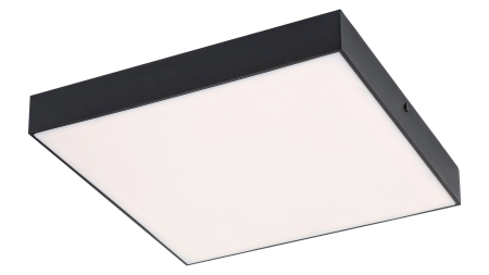 Plafoniera baie Rabalux Tartu LED 24W 2500lm 2800-6000 aluminiu mat black stil tehnic, IP44 7900 [2]
