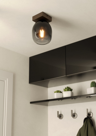 Plafoniera EGLO Filago 900825 E27 1X40W 220-240V,50/60Hz H 200mm x Ø145mm otel/lemn maro sticla negru gri transparenta IP20 [1]