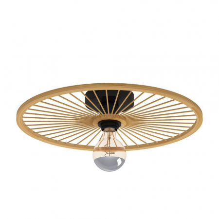 BLACK FRIDAY - Plafonieră EGLO LEOMINSTER 43883, E27, 1X40W, Oțel, Negru IP20
