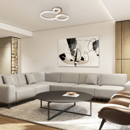 Plafoniera Rabalux Amilia LED 24W 2400lm 3000, 4000, 6500K metal plastic auriu alb IP20 [11]