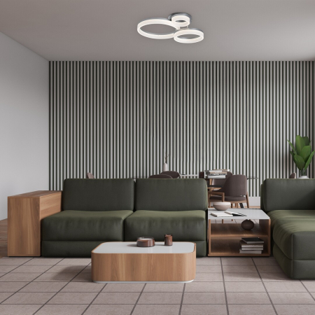 Plafoniera Rabalux Amilia LED 24W 2650lm 3000, 4000, 6500K metal plastic crom alb IP20 [11]