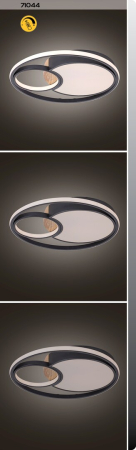 Plafoniera Rabalux Leola LED 81W 3800lm 3000, 4000, 6000 metal black stil modern 230V, 50Hz IP20 71044 [6]