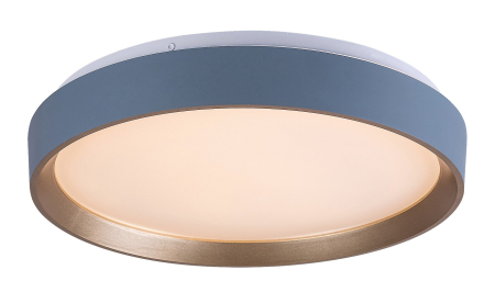 Moderne - Plafoniera Rabalux Liatris2 LED 24W 1200lm 3000K metal gray stil modern, IP20 71185