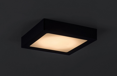 Plafoniera Rabalux Shaun2 LED 15W 1450lm 3000K plastic black stil minimal, IP20 71214 [4]