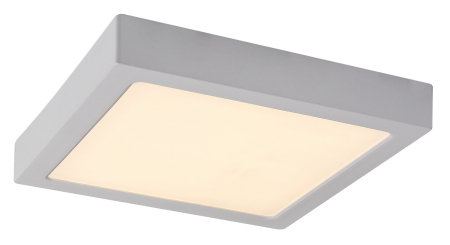 Plafoniera Rabalux Shaun2 LED 24W 2420lm 3000 plastic white stil minimal 230V, 50Hz IP20 71209 [1]