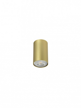 Moderne - Plafoniera Smarter AXIS 01-2149 Auriu mat GU10 1x35W   IP20