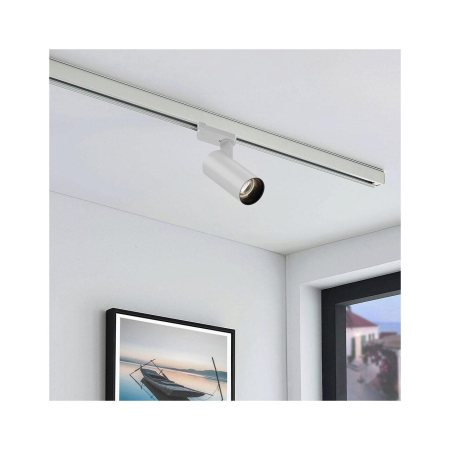 SINA MONOFAZATA, 2M/BUC, ALB [1]