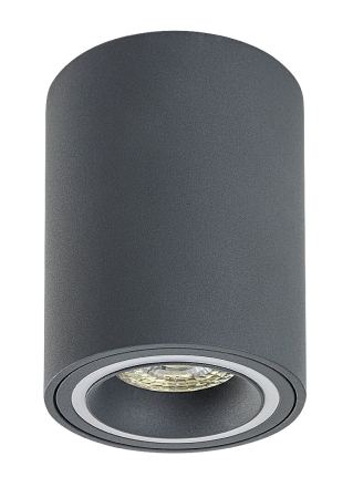 Spot aplicat fix Rabalux Kobald GU10 GU10 1X MAX 25W   aluminiu gray stil modern 230V, 50Hz IP20 71161 [1]