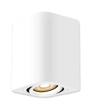 Spot aplicat reglabil Rabalux Kobald GU10 GU10 1x MAX 42W   aluminiu white stil minimal 230V, 50Hz IP20 2050 [1]