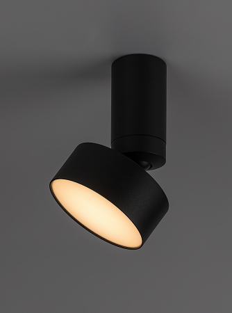 Spot aplicat reglabil Rabalux Ovidia LED 10W 640lm 3000 metal black stil tehnic 230V, 50Hz IP20 71321 [2]