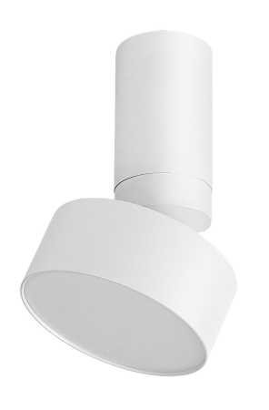 Spot aplicat reglabil Rabalux Ovidia LED 10W 640lm 3000 metal white stil tehnic 230V, 50Hz IP20 71326 [1]