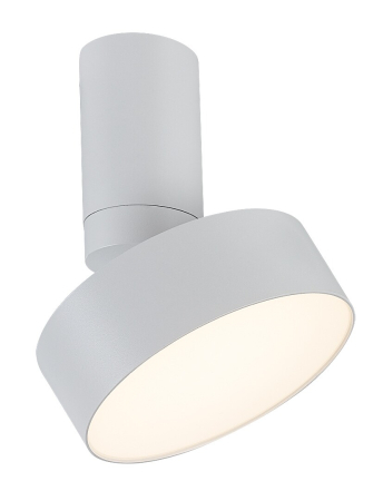 ILUMINAT - Spot aplicat reglabil Rabalux Ovidia LED 16W 800lm 3000 metal white stil tehnic 230V, 50Hz IP20 71327