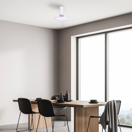 Spot aplicat reglabil Rabalux Ovidia LED 20W 1370lm 3000 metal white stil tehnic 230V, 50Hz IP20 71328 [7]