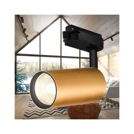 SPOT PE SINA NEECHIPAT AURIU GU10 BETA-TR2 [1]