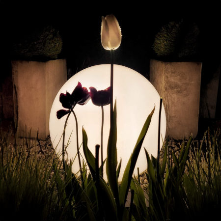 Veioza exterior (Bila Gradina) Milagro Globo  1xE27 max 60W   230V/50Hz White Plastic IP44 [2]